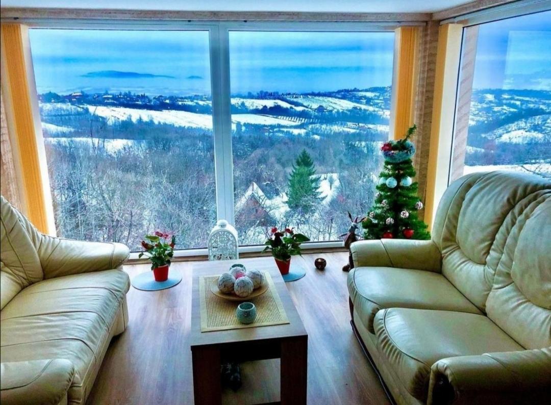 Vila Pogled Аранделовац Экстерьер фото