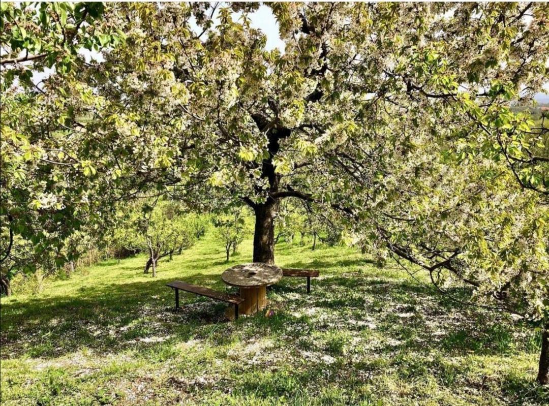 Vila Pogled Аранделовац Экстерьер фото